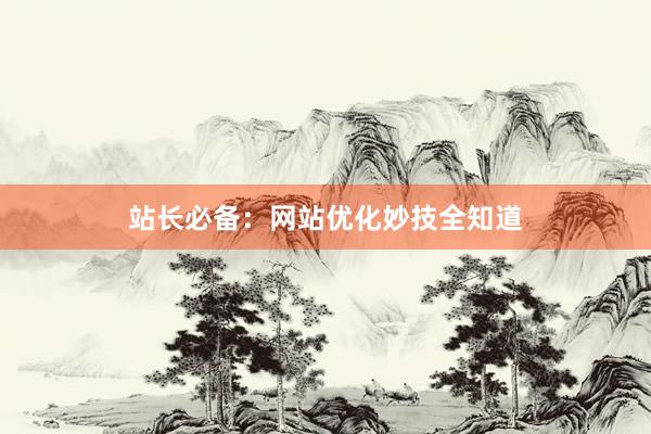 站长必备：网站优化妙技全知道