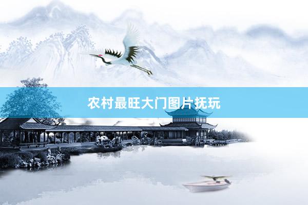 农村最旺大门图片抚玩