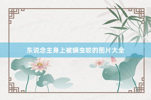 东说念主身上被螨虫咬的图片大全