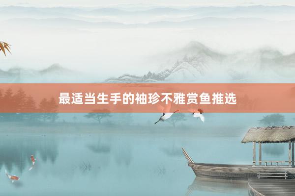 最适当生手的袖珍不雅赏鱼推选